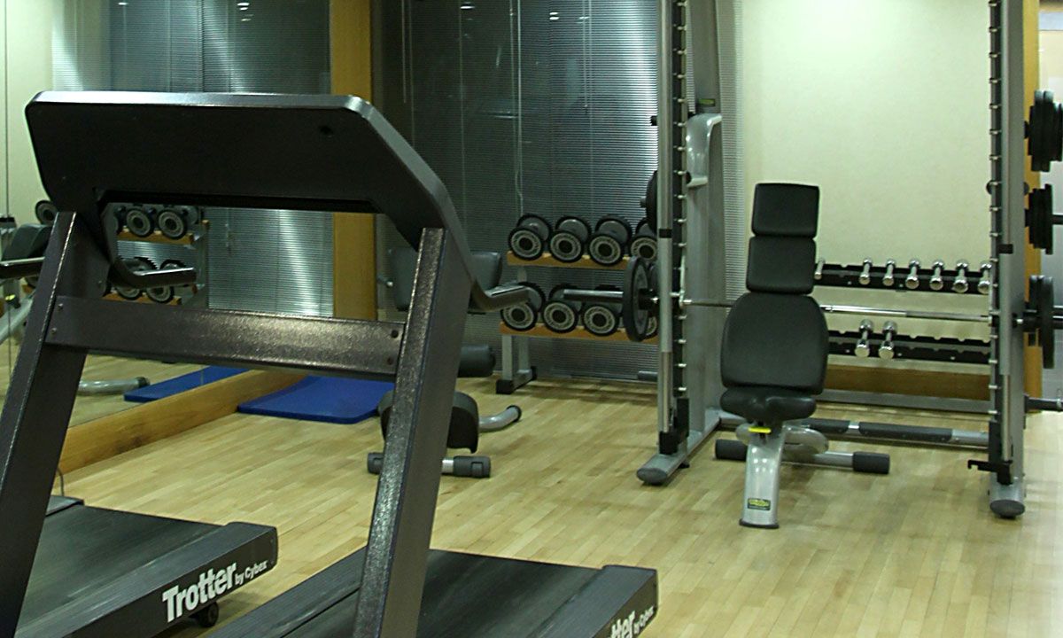 villa alina elia gym