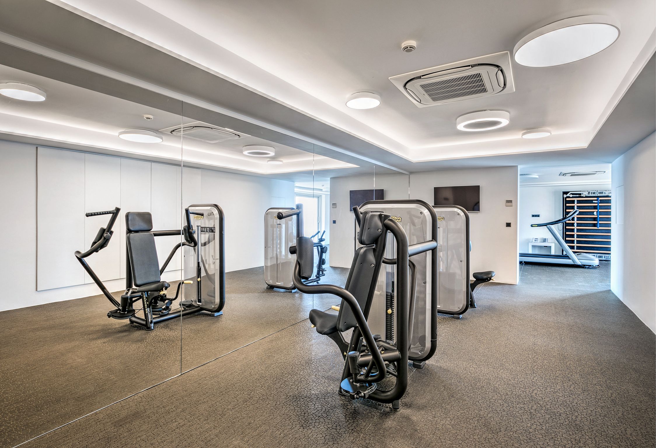 Villas with gyms mykonos